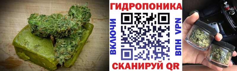 Купить  Кохма  Cannafood марихуана 