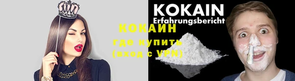 PSILOCYBIN Армянск