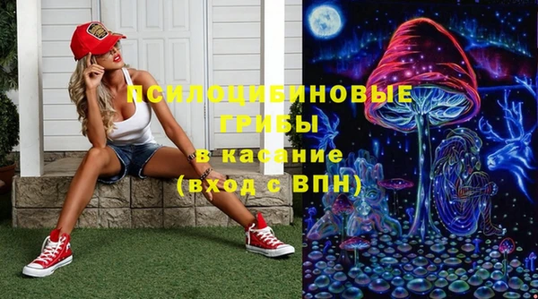 мяу мяу мука Арсеньев