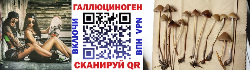 Галлюциногенные грибы MAGIC MUSHROOMS  Купить закладки  Кохма 